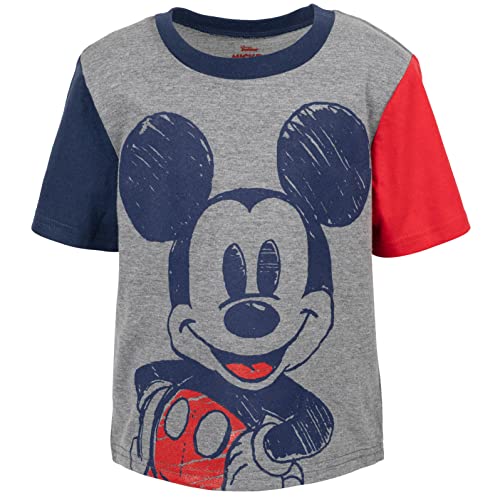 Image of Disney T-Shirt & French Terry Shorts Set Toddler to Big Kid Sizes (2T - 14-16)