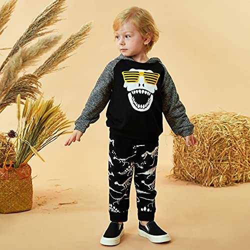 Image of HINTINA Baby Boys Dinosaur Long Sleeve Hoodie Tops Sweatsuit Pants Winter Outfit Set