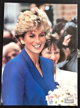 追悼25周年 Princess Di ダイアナ妃 雑誌/写真集特集セットセット Amazon.co.jp: 追悼25周年 Princess Di ダイアナ妃 雑誌写真集