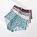 POSHAMIRA Women's Printed Hipster Panties, Set of 4, Leopard, Hearts, Arrows Patterns (US, Alpha, XX-Large, Regular, Regular, Multicolor)