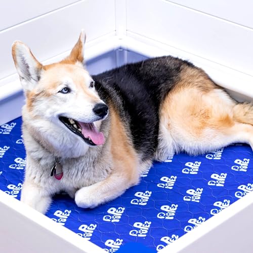 Whelping Box - 48"x48"x18" - Whelping Bed, Pen for Puppies, Large Breed Dogs