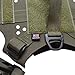 Peak by Ray Allen Pikes Harness, Small and Medium Breed Dog Harness, Adventure Dog Harness, Puppy Hiking Harness, Lightweight Salute Nylon, Water-Resistant (Ranger Green, Medium)