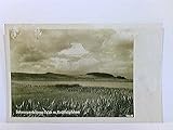  AK Schwarzenbörner Teich und Knüllköpfchen; Schwarzenborn; Landpoststempel Christerode ü. Treysa; gelaufen 1935