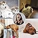 Toozey Juguetes para Perros Pequeños Juguete Cachorros- 7 Piezas de Juguetes para...