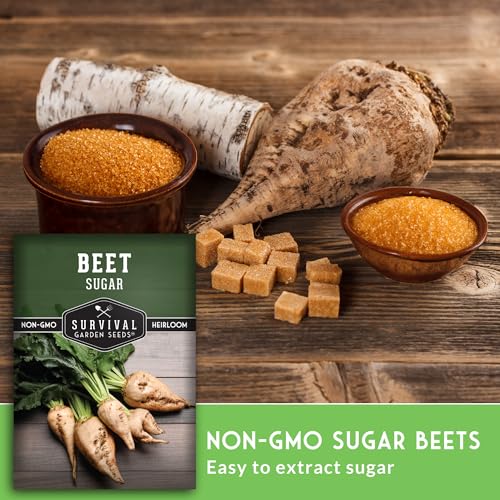 Sugar Beet Seeds for Planting – Survival Garden Seeds (5 Pack) - Image 4