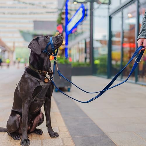 HALTI Doppelführleine - Multifunktionale Hundeleine zum Trainieren und Gassigehen mit Ihrem Hund. Leicht und mit Neopren gepolsterte. Für Welpen geeignet (Größe Groß, Kobaltblau, 2m)