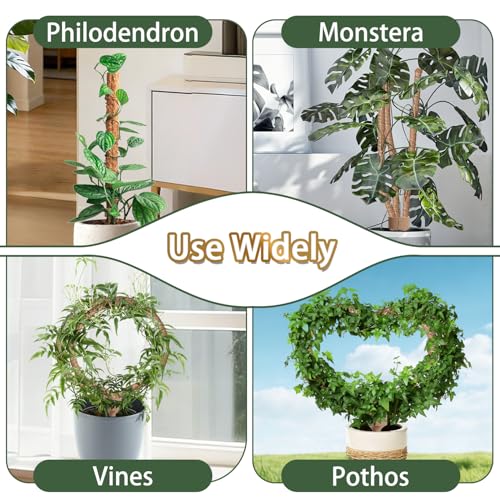 3 Moss Poles in 1, Bendable Monstera Plant Support, 30IN Tall Plant Stakes for Indoor Plants, Coir Pole Plant Support for Climbing Plants, Pothos, Philodendron-2 Pack by LECAMEBOR - Used condition - Image 8