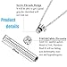 FINREZIO Stainless Steel Urn Necklaces for Women Men Cremation Pendant Necklace for Memorial Ashes Jewelry Keepsakes with Cubic Zirconia (A:Silver tone)