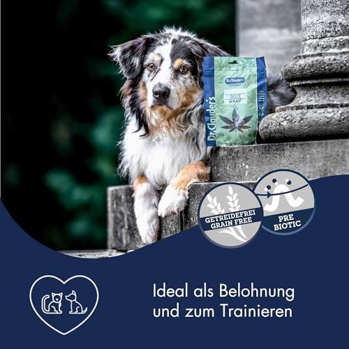 DR.CLAUDER'S - Trainee Snack Hanf | Ballastoffreiche Hanf Snacks mit Omega-3- und Omega-6, Vitaminen und Spurenelementen für Hunde und Katzen. Getreidefreie Leckerlis im Frischebeutel | 80g