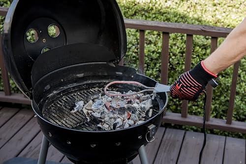 Char-Broil Electric Charcoal Starter,Black