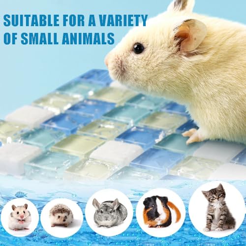 Image of OULIGET Hamster Rabbits Cooling Mat,Crystal Quartz Glass Small Animal Bed,Pet Cool Plate Ice Bed Sleeping Pad Stay Cool for Rabbits Guinea Pigs Chinchillas Ferret,6 inch x 6 inch