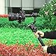 DF DIGITALFOTO RS3 Vertikale Kamerahalterung, professionelle RS3 Hochformat für Social Media-Arbeit, kompatibel mit DJI Ronin RS2/RS3/RS3 Pro Gimbal, Nutzlast 4,5 kg, Schwarz