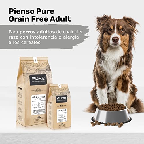 Avantis Pet Pure Grain Free Adult – Futter für Erwachsene Hunde Aller Rassen – 2 kg – 100% vollständiges und ausgewogenes Futter – mit Huhn und Getreide für Hunde mit Intoleranz und Allergie