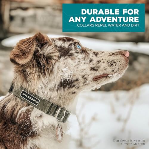 Wilderdog C-WP-OLIV Waterproof Dog Collar thumb #4