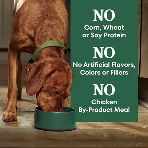 Image of Nutro Natural Choice Large Breed Adult Dry Dog Food, Chicken & Rice, 36 lb