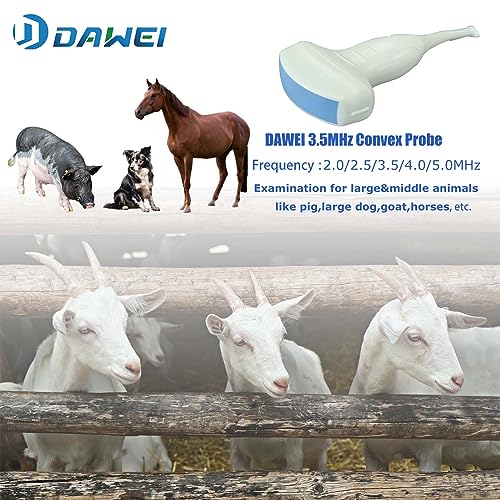 Daweianimed Veterinary Ultrasound Scanner Laptop Ultrasound Machine With 3.5Mhz Convex Probe For Animals Dog,Goat,Pig,Sheep Use thumb #1