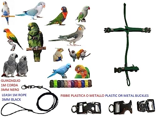 Arnés para loros sin escapes: cuerda elástica de 3 mm para Lori Arcobaleno 3