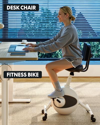 ergonomic executive office chair System product image