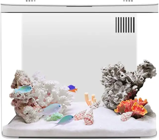 Acquario da tavolo 20 litri per pesci Betta con LED e filtro silenzioso