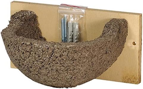 CJ Wildlife Swallow Nest Box.