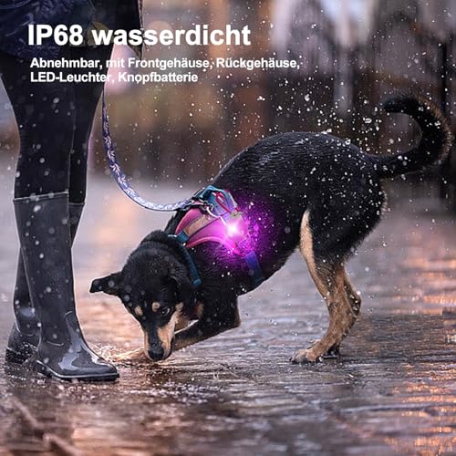HOSPAOP LED Leuchtanhänger für Hunde, 14 Stück Sicherheitslicht Hundelicht mit 3 Leuchtmodi, Blinklicht für Hundehalsband, Kinder Schulranzen, Katzen, Jogger