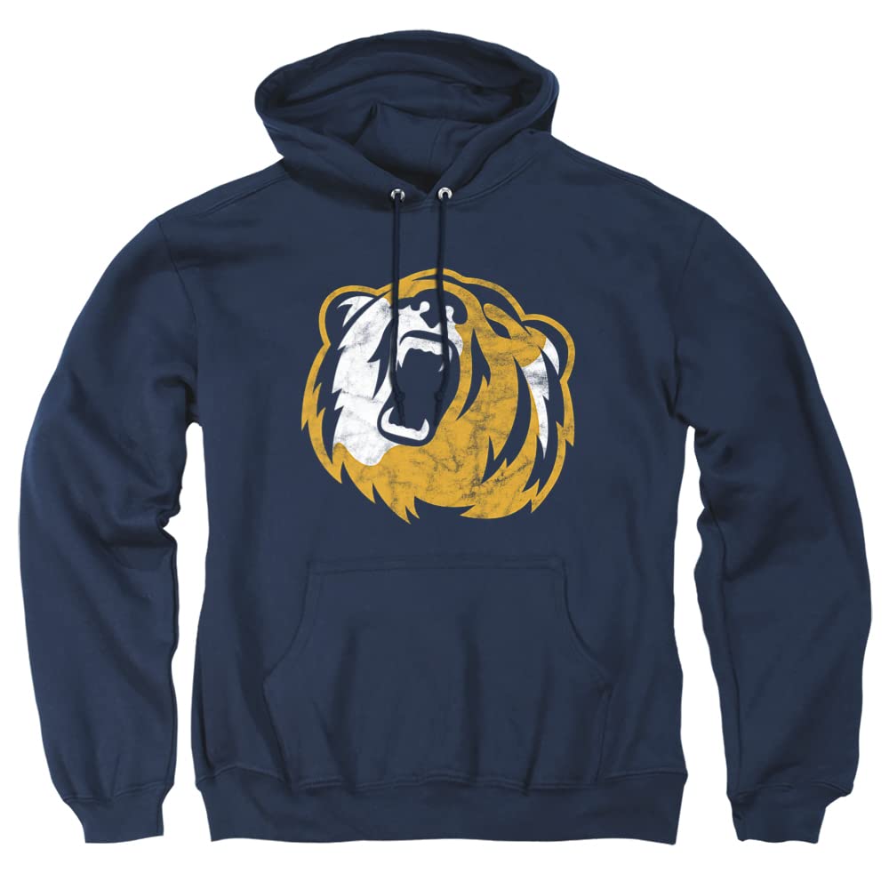 LOGOVISION Official Collegiate Distressed Primary Logo Adult Pullover Hoodie Collection — view 122