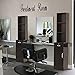 BarberPub Wall Mount Barber Station Hair Styling Drawer Storage Beauty Salon Spa Shop Equipment 3208 (Ebony)