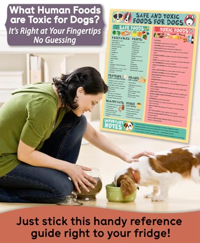 Image of Magnetic 8.5x11 Safe and Toxic Foods for Dogs Magnet - Pet Safety Chart and Canine Nutrition Guide, Waterproof & Humidity- (Pack of 1)