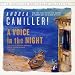 A Voice in the Night: The Inspector Montalbano, Book 20