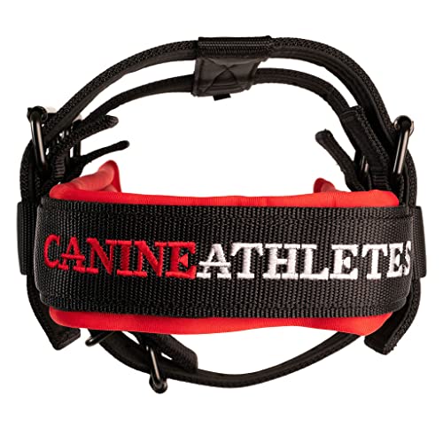 Canine Athletes Elite-HD V3 Heavy Duty Working Dog Weight Drag Pulling Harness w/Tracer, Strength Training (Medium)