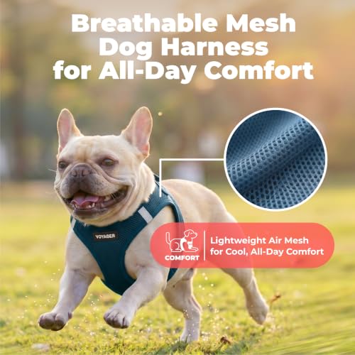 Image of Voyager Step-in Air Dog Vest Harness - Blue, Large
