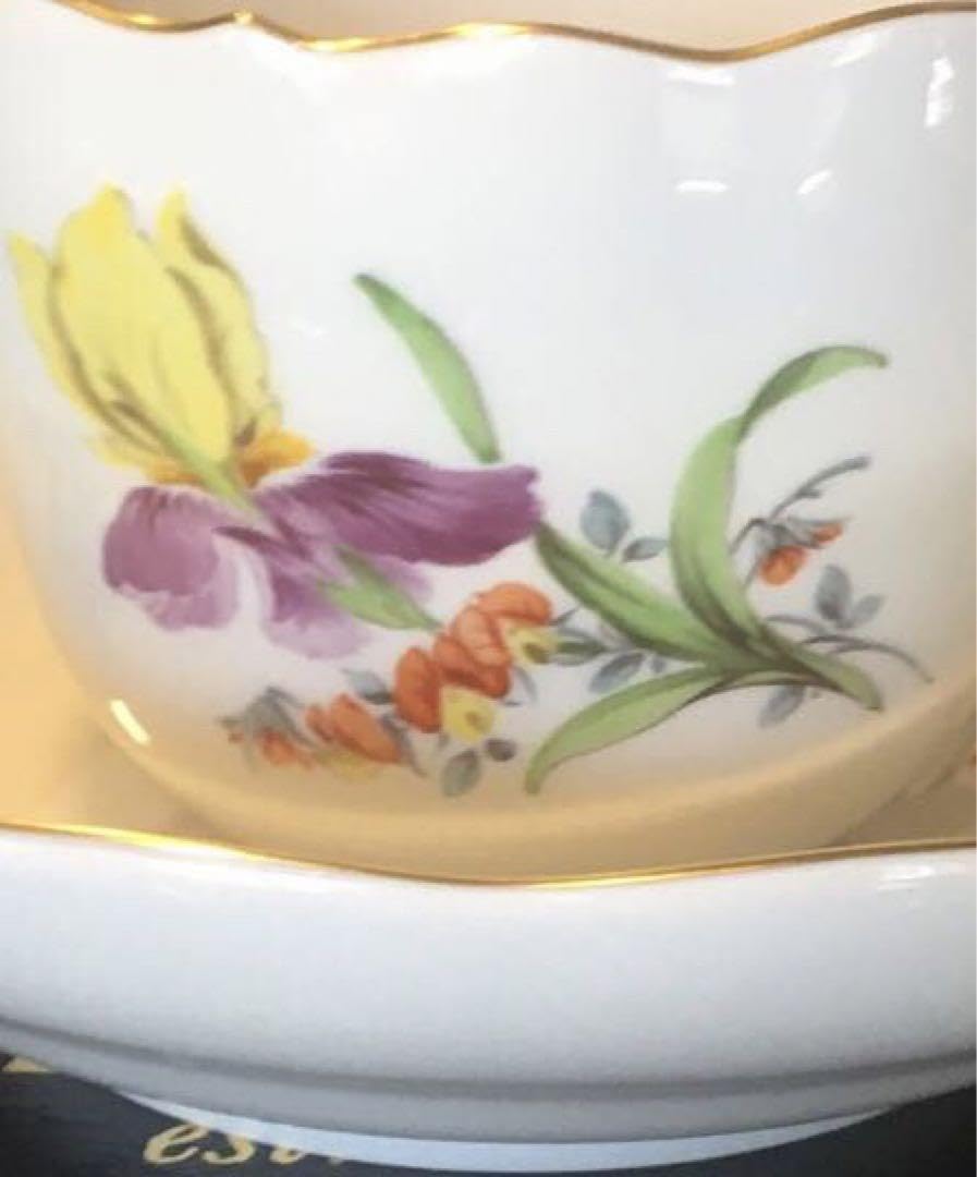 ⭐️純正箱付き⭐️ベーシックアヤメ二つの花Ｃ／Ｓ Amazon.co.jp: 純正箱付きベーシックアヤメ二つの花C／S 管理