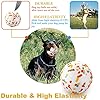 Interactive Ball for Training Dog Catch