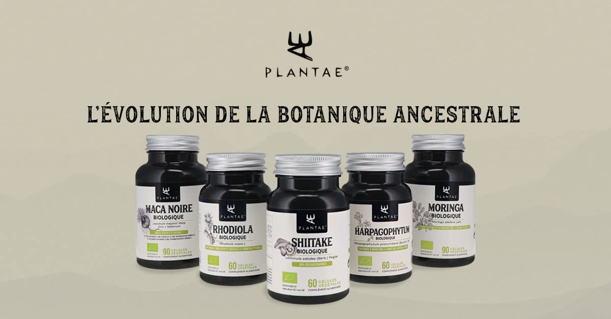 Maitake Bio * Plantae * 60 gélules végétales * Renforce le système immunitaire + Santé cardiovasculaire + Super-aliment *