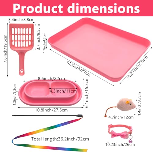 Kitten Starter Kit para gatitos en interior, incluye arenero rosa miniatura 2