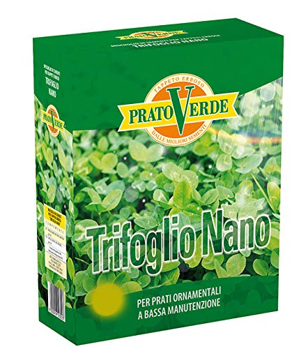 FERRI SEMENTI - SEMENTI PER TAPPETO ERBOSO TRIFOGLIO NANO 1KG