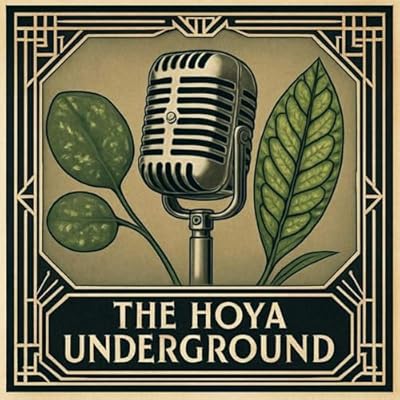 The Hoya Underground