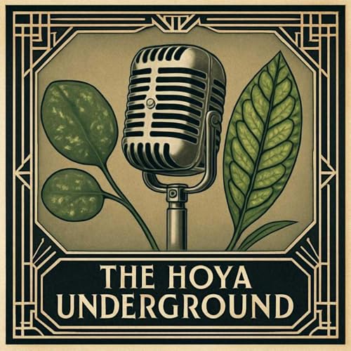 Couverture de The Hoya Underground