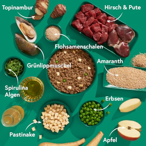 FRED Senior Nassfutter Hirsch & Pute – 28 % Hirsch & 12 % Putenherzen – speziell für ältere Hunde – mit Amaranth, Spirulina & Grünlippmuschel – 390 g Tetra Pak