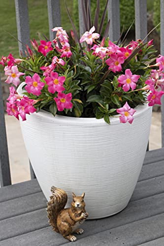 Clever Garden Squirrel Garden Statue Outdoor Décor, Resin Figurine Decoration For Lawn, Yard, Patio, Porch, And More #TOP5