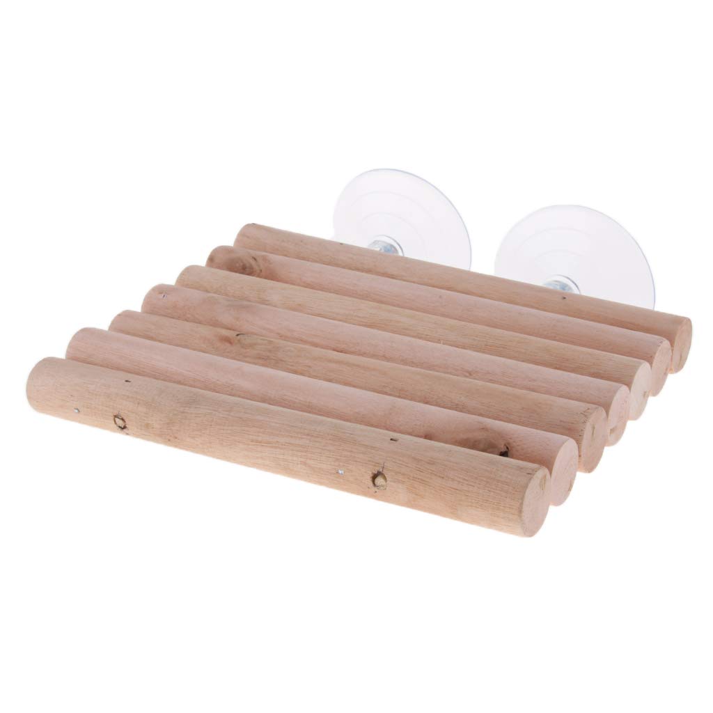 perfk Holz Sonnenbad Wasser Insel Terrasse für Aquarium, L