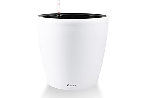 Extra Large Self Watering Planter with Wheels