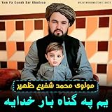 Molavi Muhammad Shafi Zaheer