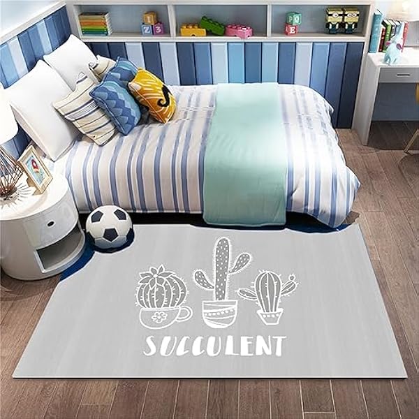 Gebied tapijten woonkamer tapijt, antislip zacht kristal fluwelen tapijt voor gemakkelijk schoon te maken, machinewasbaar tapijt voor woonkamer, slaapkamer, eetkamer wasbare tapijten (grijze cactus,