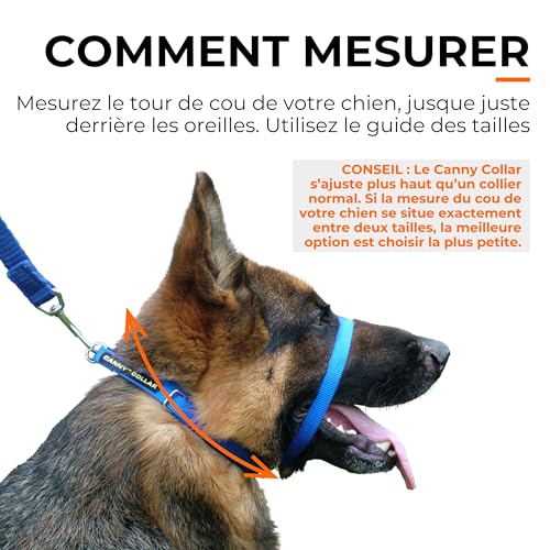 Canny Collar Trainingshalfter | Anti-Zughalsband | einfach zu bedienen | Trainieren Sie Ihren Hund, Nicht an der Leine zu ziehen | bequem, weich, sicher und effektiv