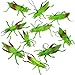 TOYANDONA 10pcs bug di plastica finta cavalletta insetto cavalletta giocattoli di gomma scherzo giocattolo