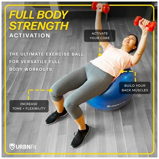 Exercise Ball (65 CM) for Stability & Yoga - Workout Guide Incuded - Professional Quality (Blue) - Image 6
