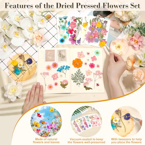 Image of 120 PCS Real Pressed Flowers, Natural Dried Pressed Flowers for Resin, Dried Florals Dry Flowers Leaves Kit with Tweezers for Scrapbooking DIY Art Crafts, Mother's Day Birthday Gift
