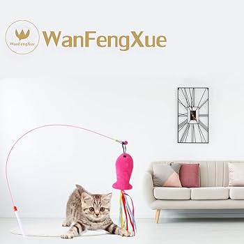 ⚠️ネコさん用⚠️ 調理師講座 全6冊セット Amazon.co.jp: 獣医師監修 うちのこエレクトリック 球体自動