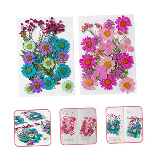 Flores Secas Artesanales 50pcs para Manualidades DIY miniatura 4